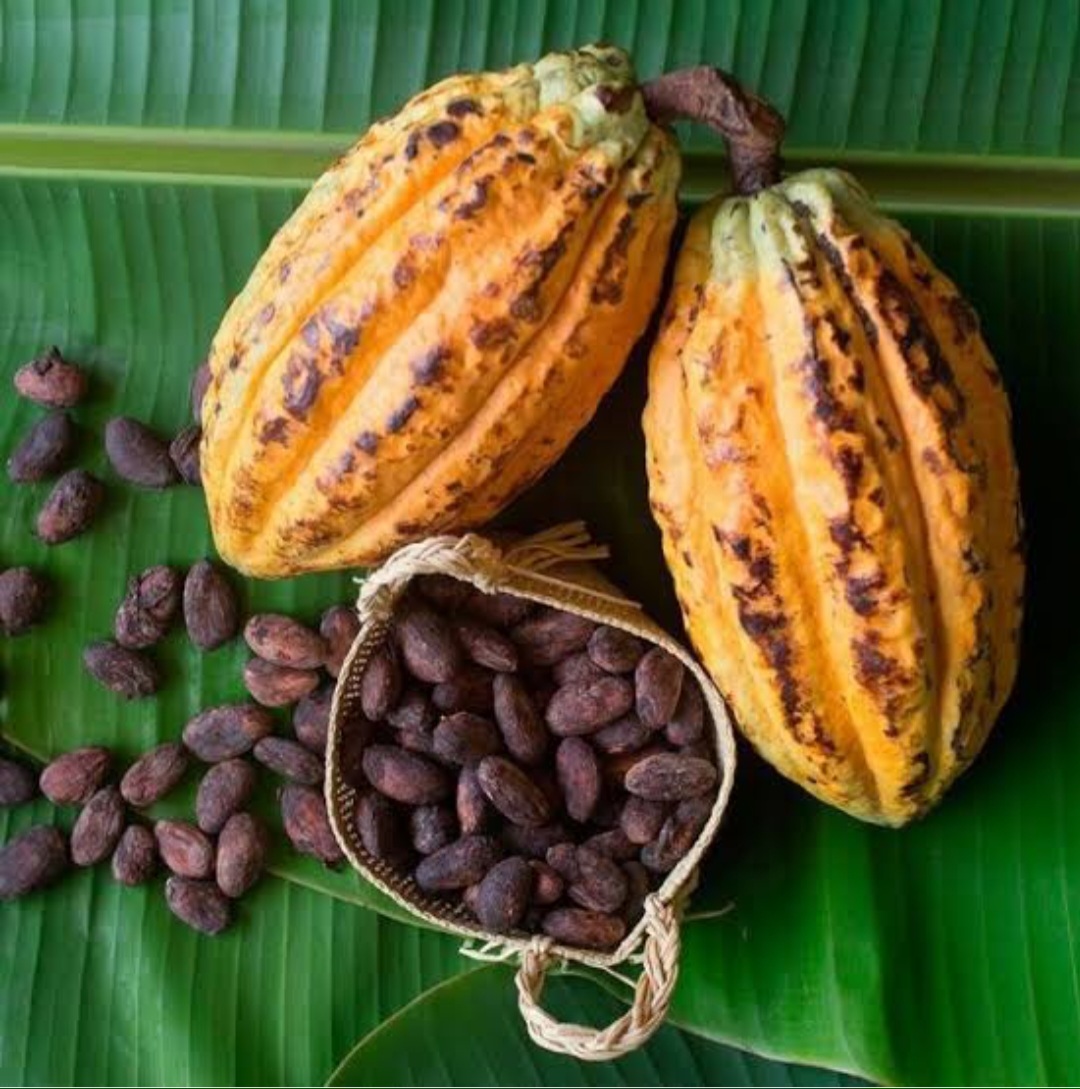 Tanzanian agricultural products